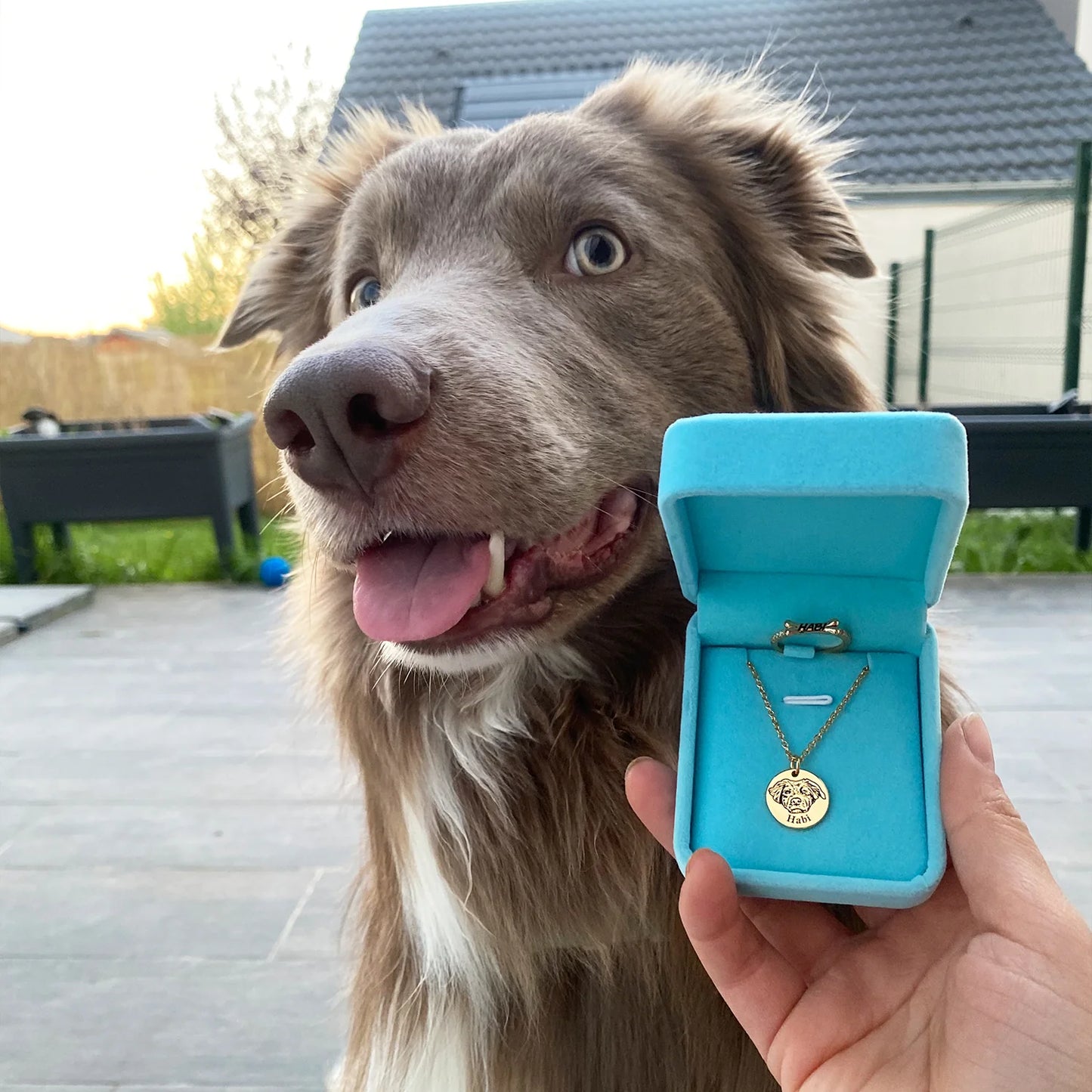 Votre Compagnon – Collier Gravé sur Mesure