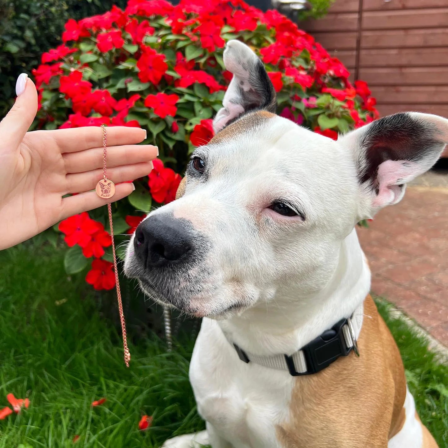 Votre Compagnon – Collier Gravé sur Mesure