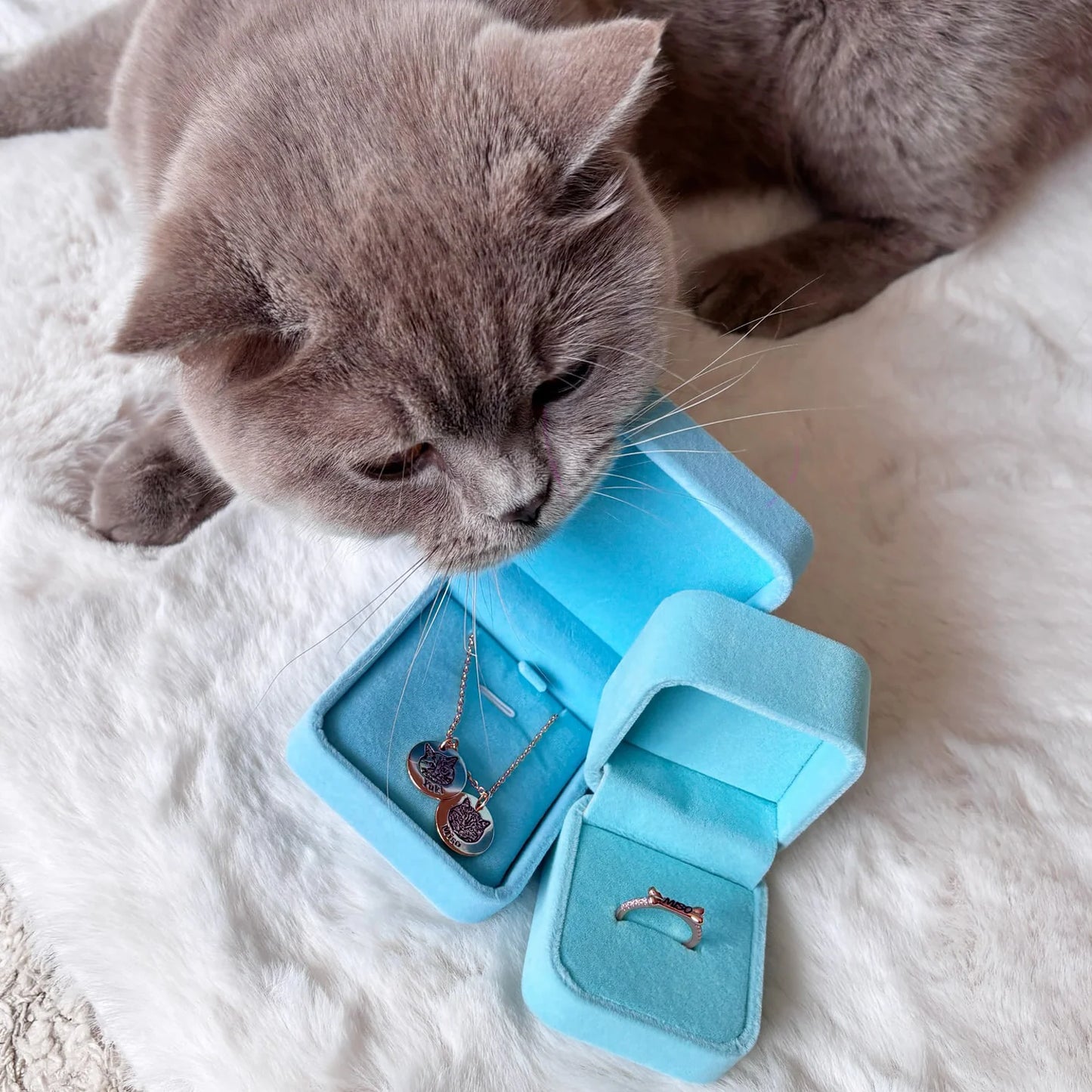 Votre Compagnon – Collier Gravé sur Mesure