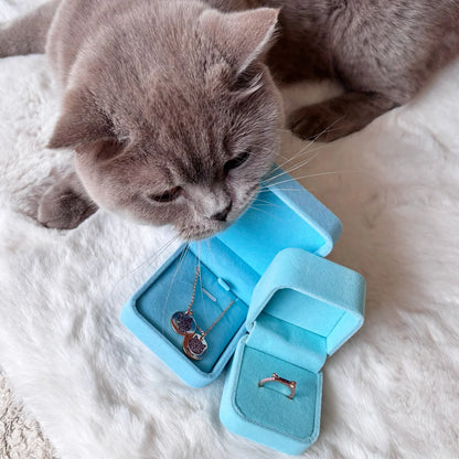 Votre Compagnon – Collier Gravé sur Mesure