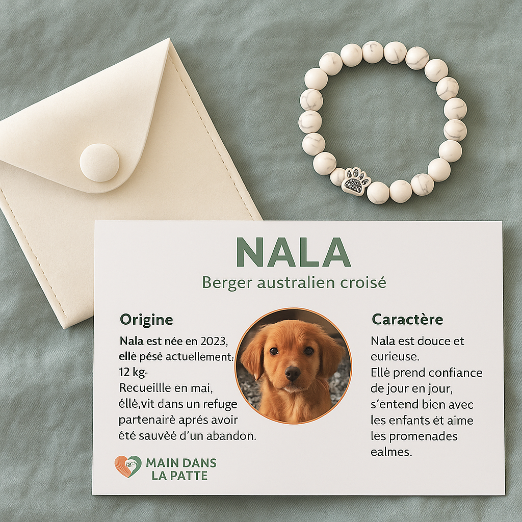 Bracelet Main dans la Patte - Une Vie Sauvée