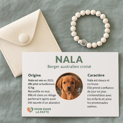 Bracelet Main dans la Patte - Une Vie Sauvée