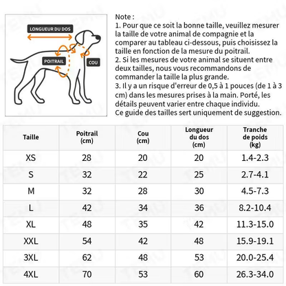 Pull de Noël Woufissime®